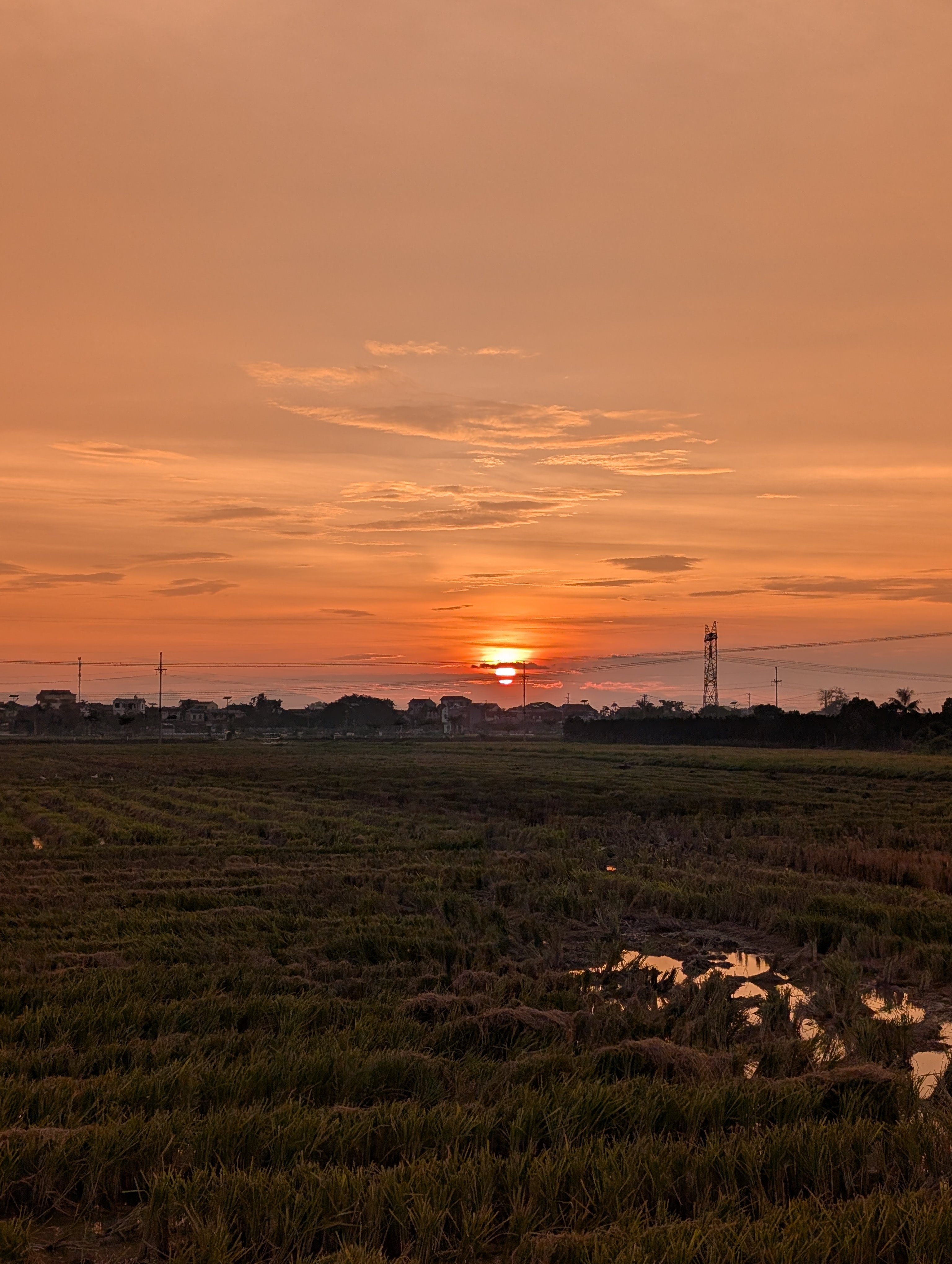 A close-up of interesting foliage