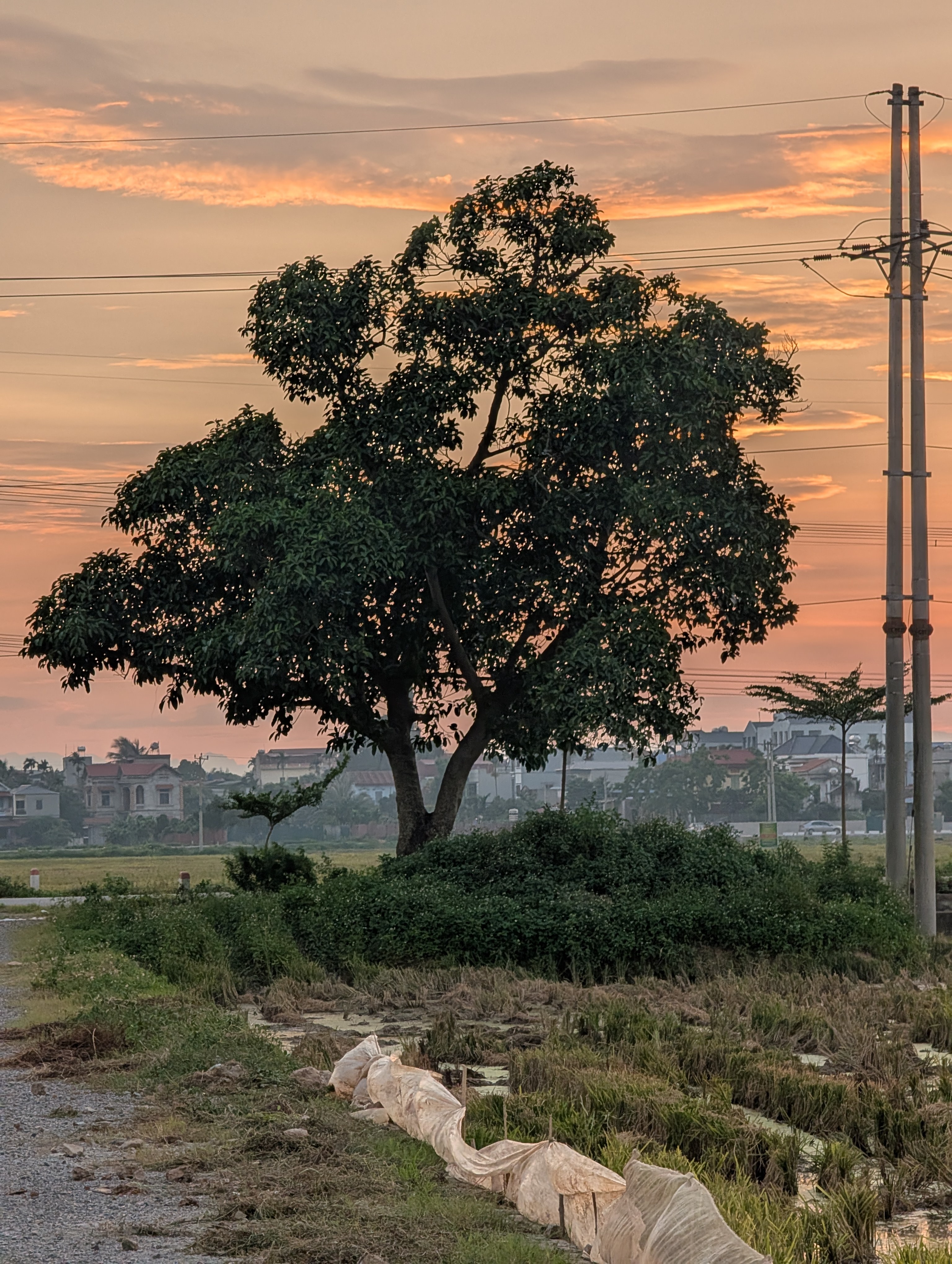 Detail of a textured wall or fence