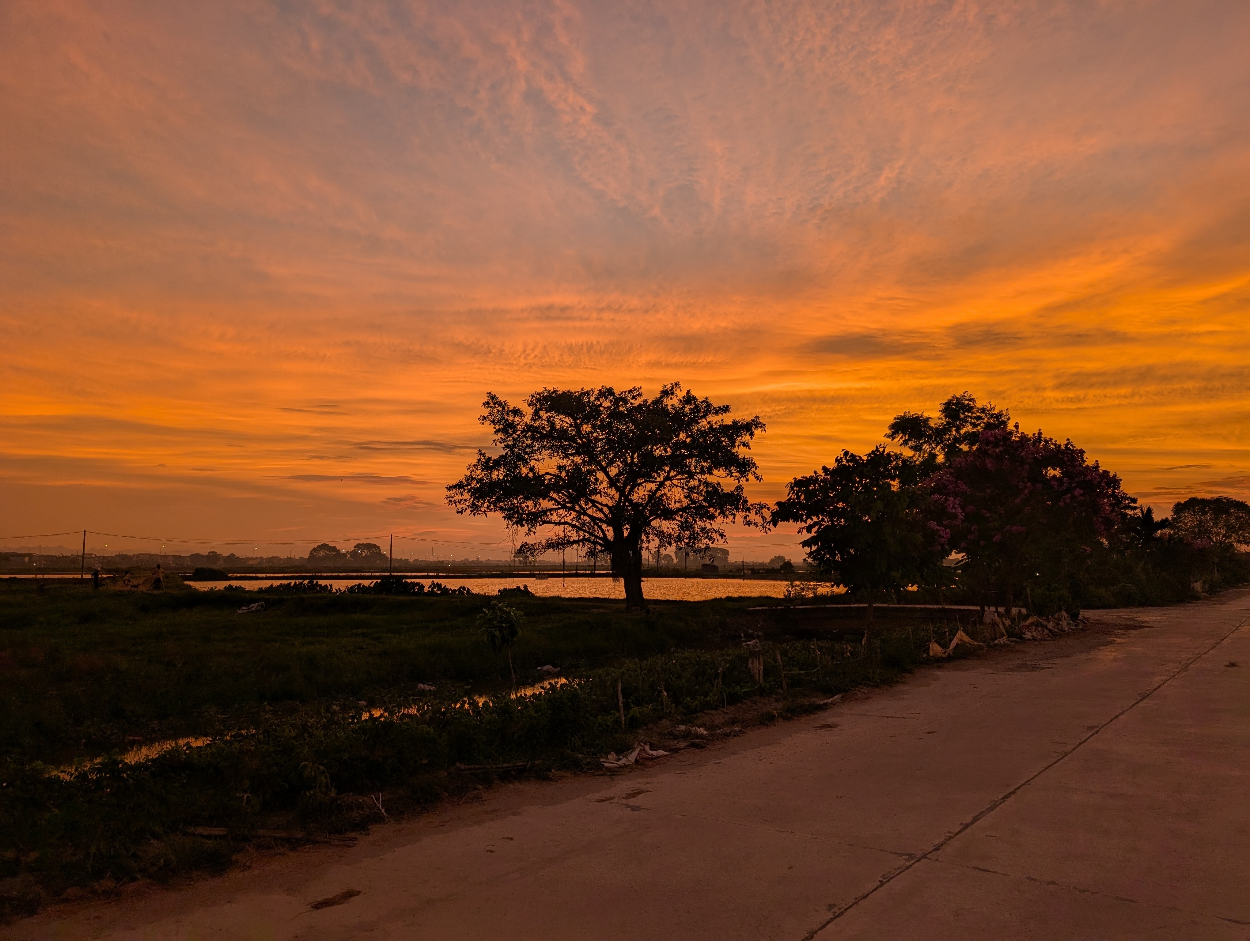 Another view of a quiet street