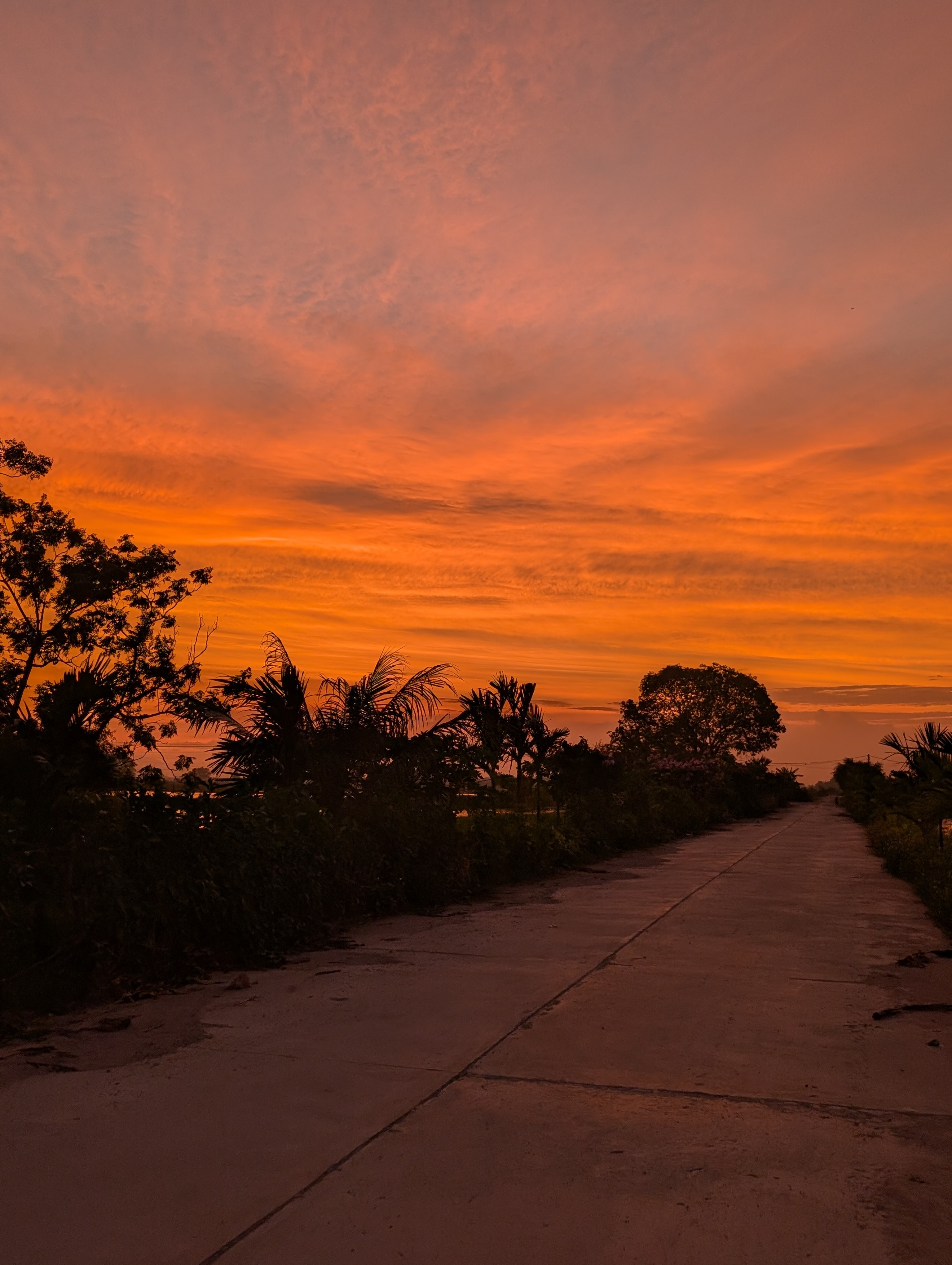A scenic view of the town skyline