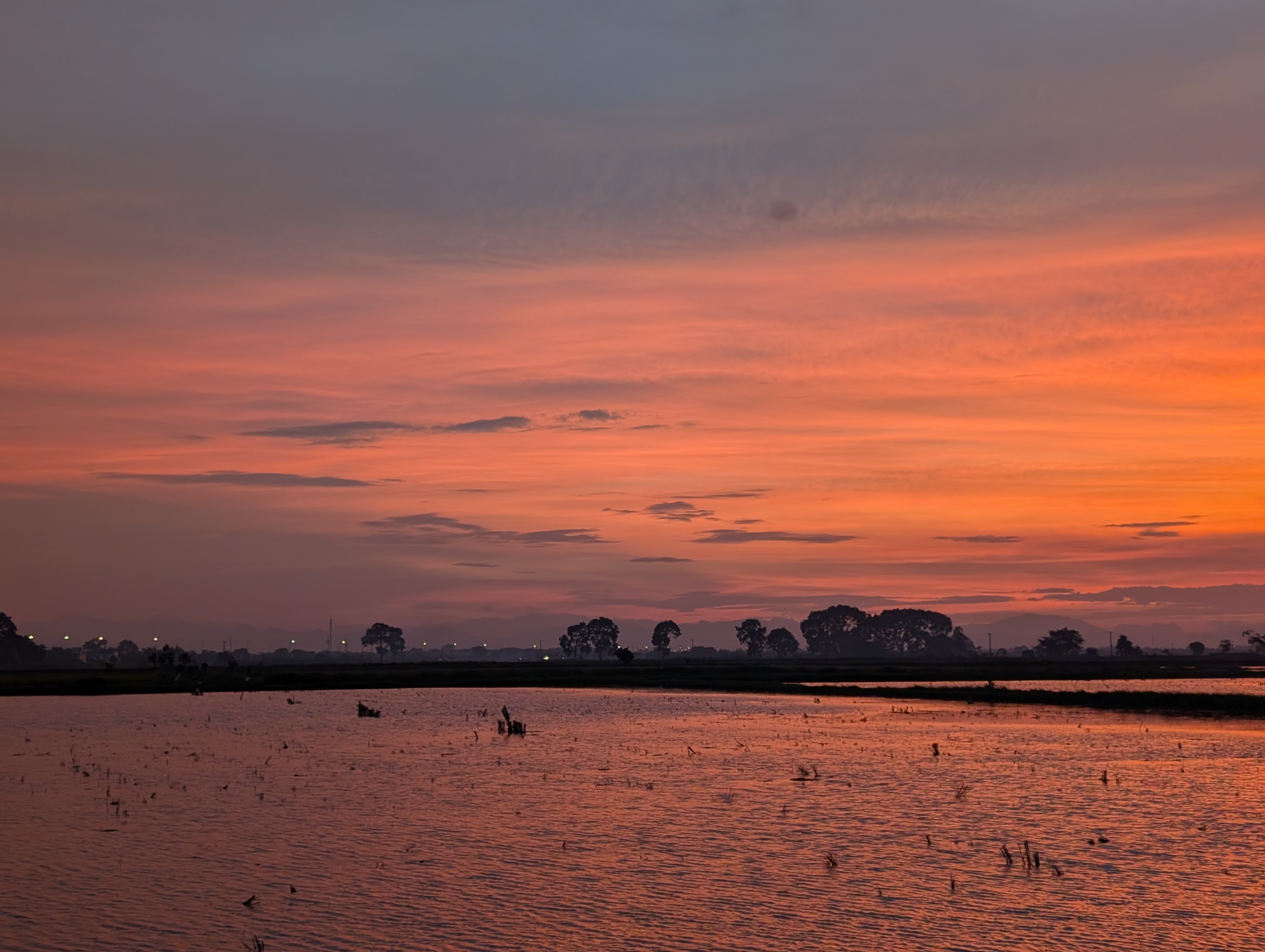 View into a bustling street