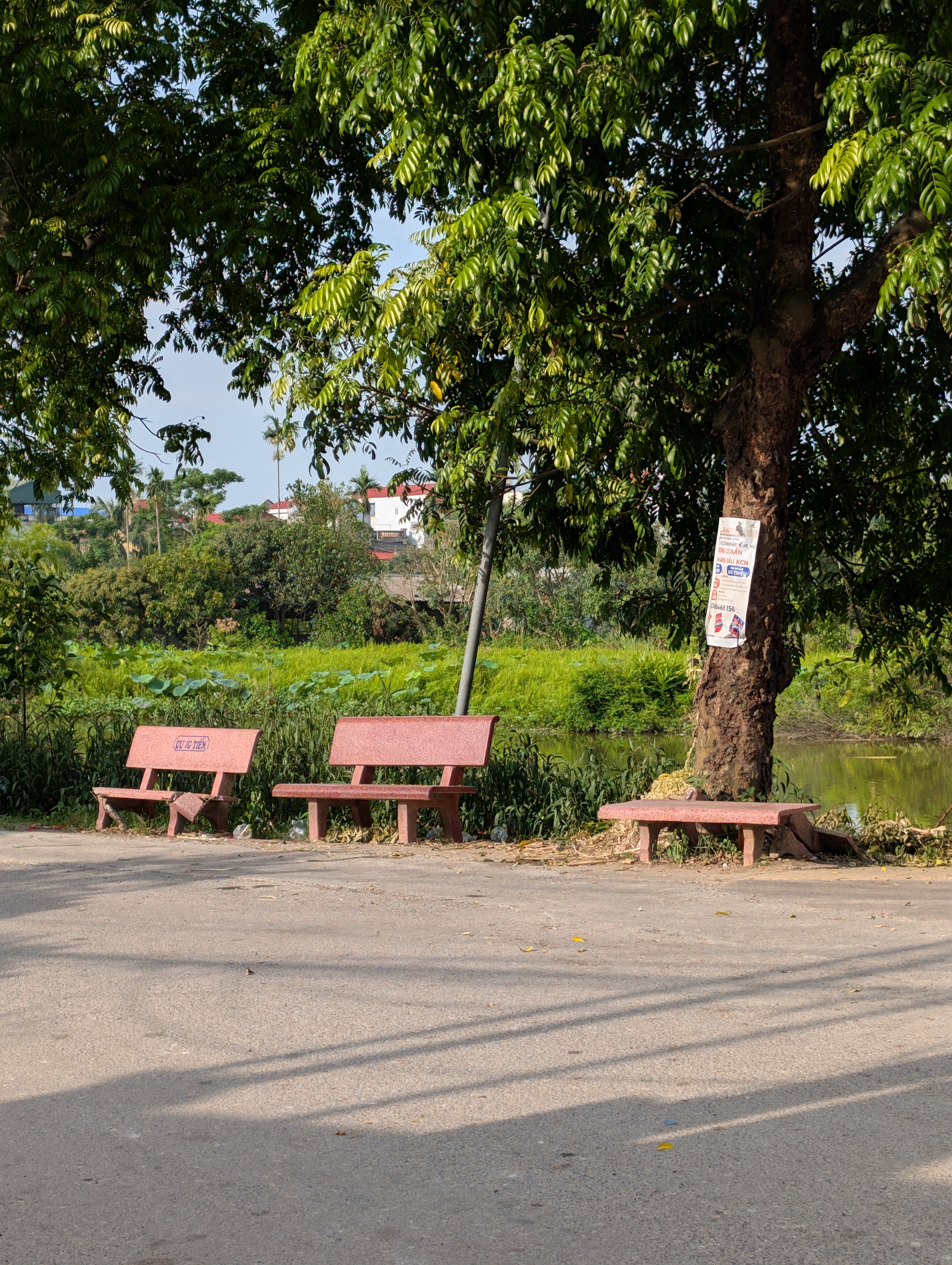 A clear shot from the following day, possibly a main thoroughfare